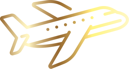 flight icon